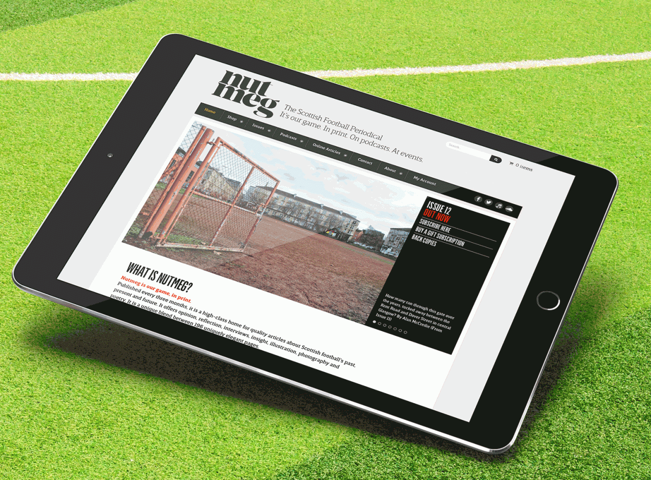 Nutmeg Magazine Hillside Agency site Development & Graphic Design